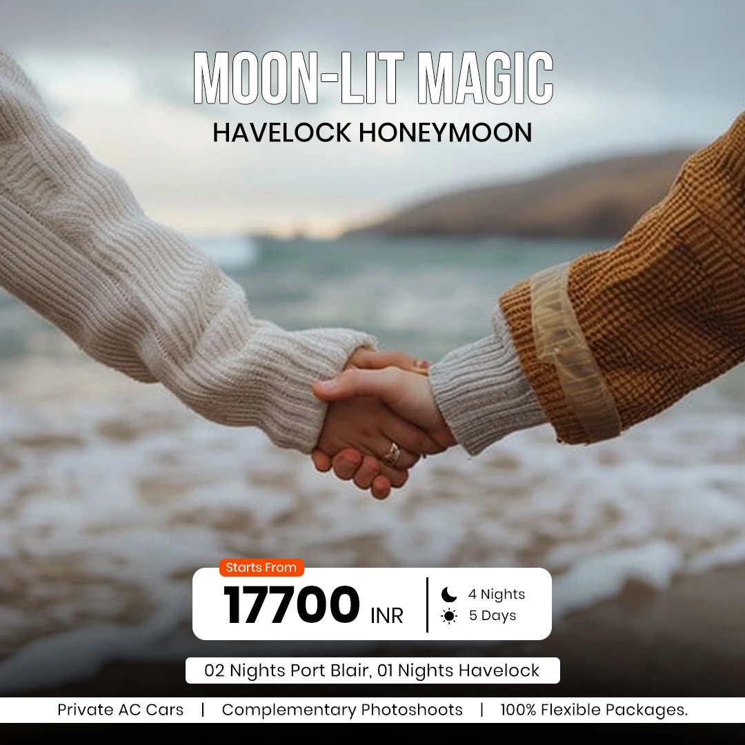 MOON-lit Magic