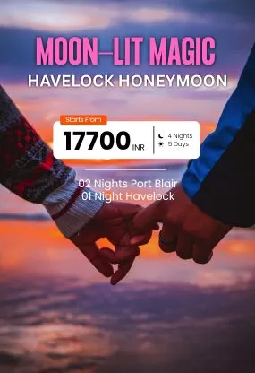 Moon-Lit (1)
